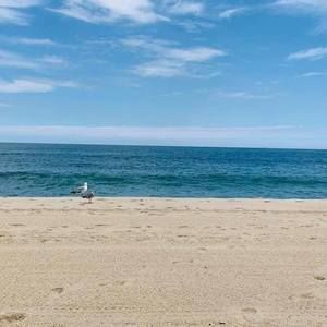 Meet your Posher, Wendy